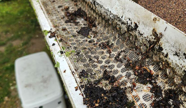 Gutter Dirty
